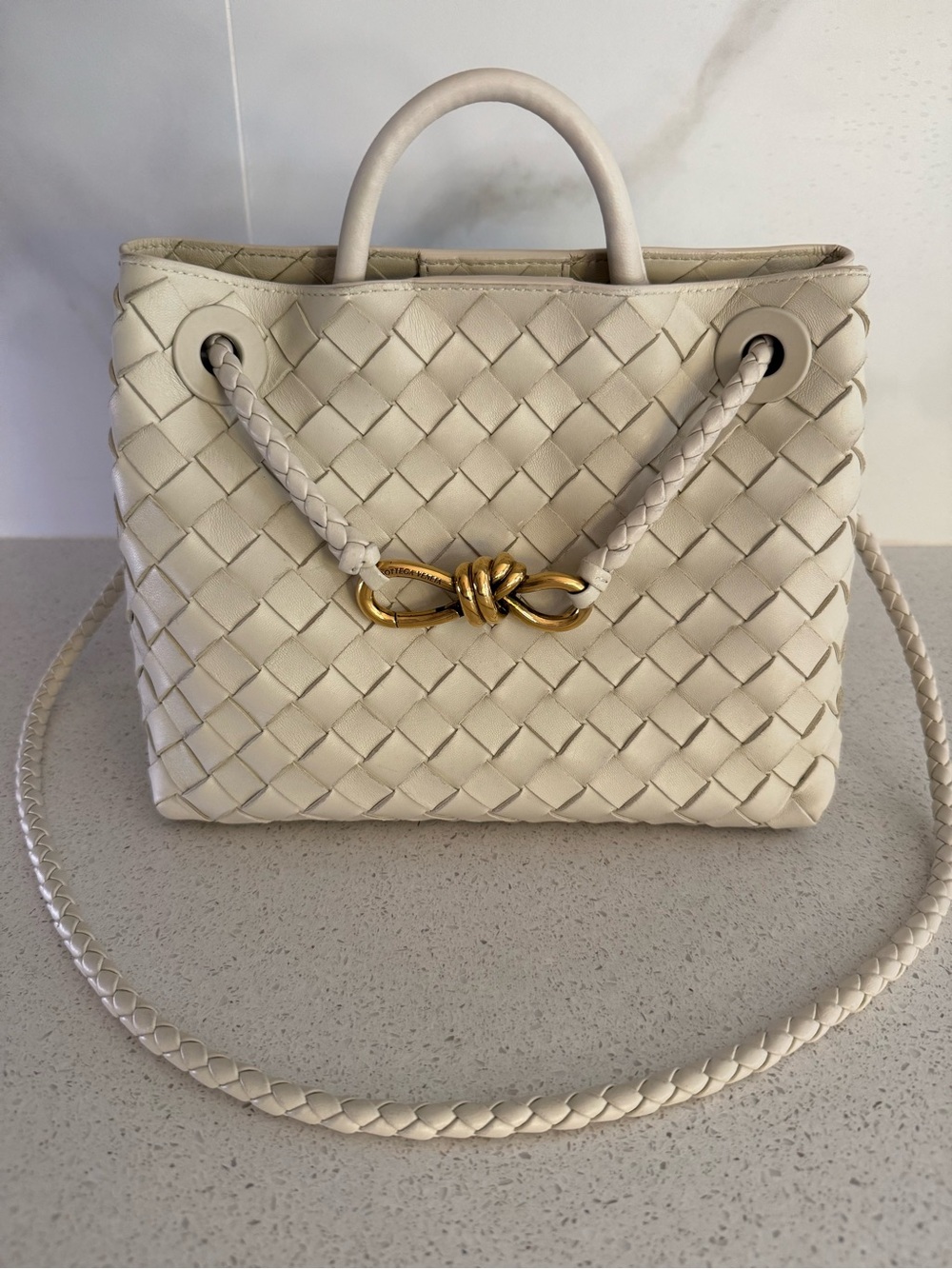 Bottega Veneta Small Andiamo Handbag
